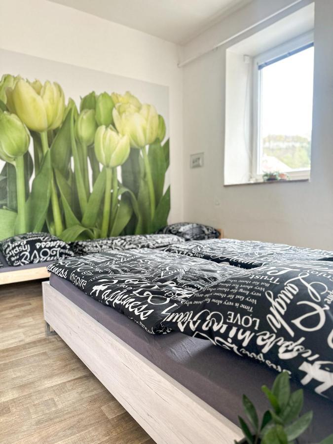 JP ubytování Loštice Exteriér fotografie