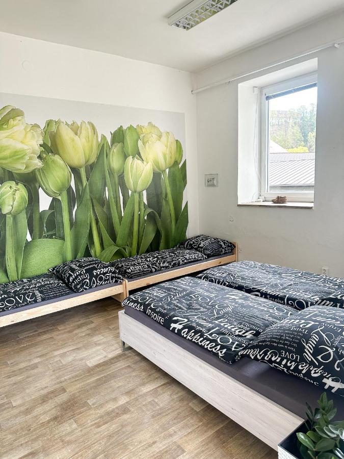 JP ubytování Loštice Exteriér fotografie