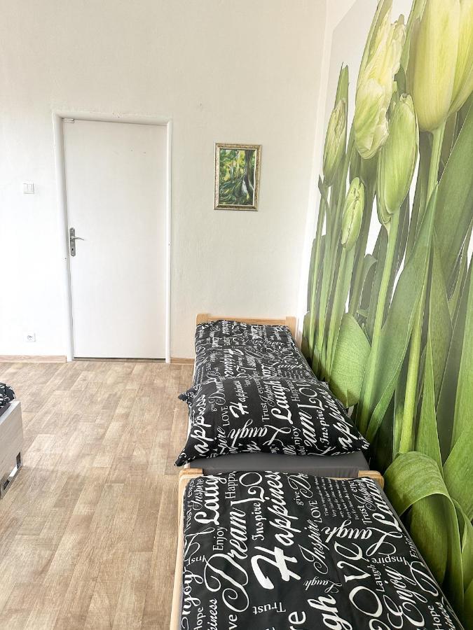 JP ubytování Loštice Exteriér fotografie